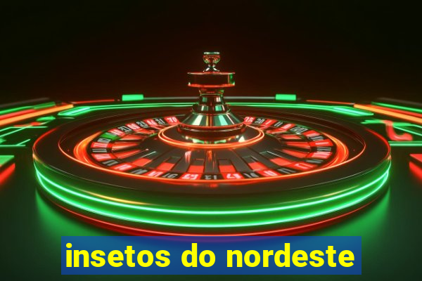 insetos do nordeste